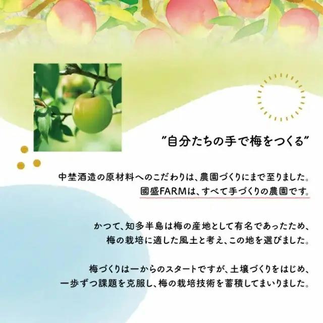 【定期便6回】梅シロップ420g×3本