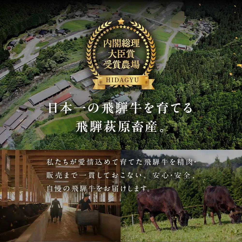 飛騨牛カルビ焼肉 300g【22-3g】