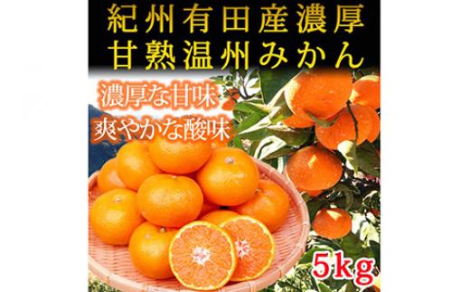 
            【先行予約】紀州有田産濃厚甘熟温州みかん5kg｜ふるさと納税 みかん
          