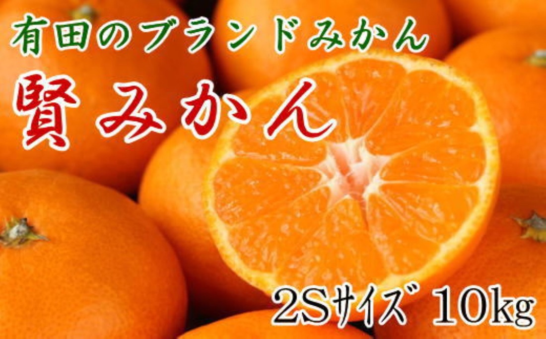 [秀品]有田のブランドみかん「賢みかん」10kg （2Sサイズ）［2026年11月中旬頃より順次発送］ BZ140