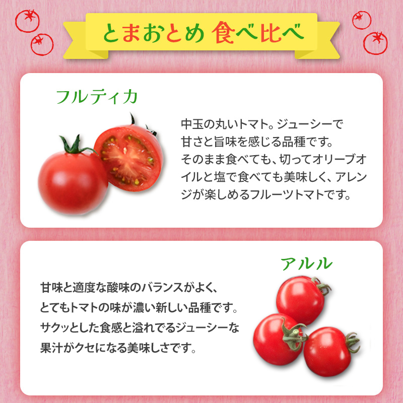 栃木県 鹿沼産 高糖度 フルーツトマト ”とまおとめ” 食べ比べ 1kg お届け：12月下旬～6月上旬 トマト カキヌマファーム アイコ フルティカ アルル イエローアイコ 濃厚 入手困難 贈り物 栃