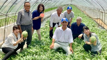 【 訳あり 】【 5月中旬より発送開始 】 感動必至! タネが気にならない こだまスイカ ピノ・ガール ( 2玉 ) すいか スイカ 西瓜 旬 旬の果実 旬のフルーツ くだもの 果実 フルーツ 夏 [