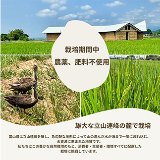 【令和7年産】玄米 ヘルジアンウッド米 30kg 富山県産コシヒカリ 玄米 国産 米 お米 日本米 ギフト 贈り物 食品 F6T-1022_イメージ3