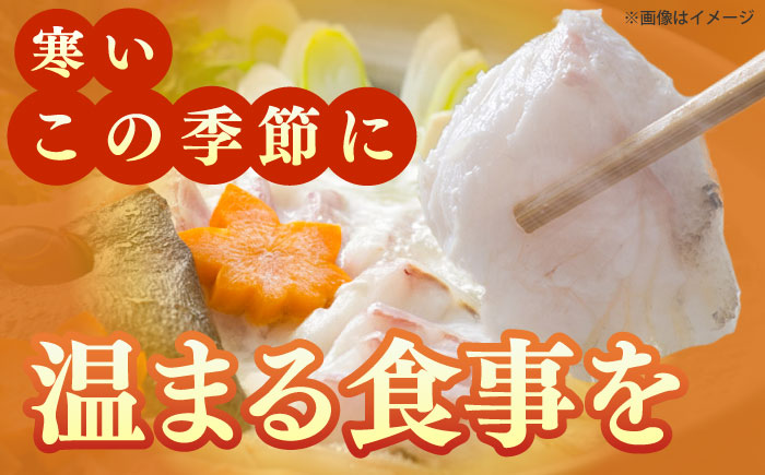 【五島列島直送】クエ鍋セット 1kg【有福水産】 [RBV009]