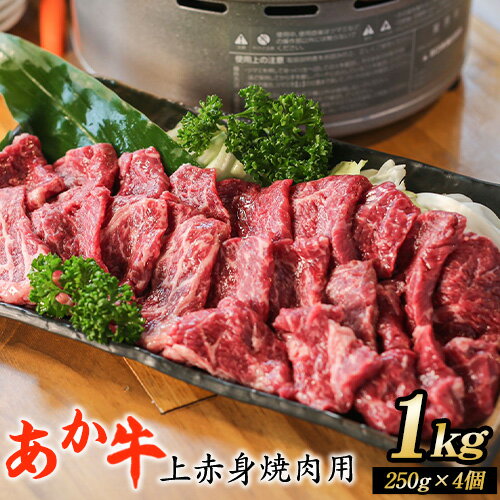 【ふるさと納税】あか牛 上赤身焼肉用 1kg (250g×4個) 有限会社白水乃蔵《60営業日以内に出荷予定(土日祝を除く)》 あかうし 赤牛 焼肉 冷凍 小分けパック