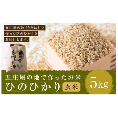 ふるさと納税 うきは市 五庄屋の地で作ったお米 ひのひかり 玄米5kg U160-1RC-BW02-05