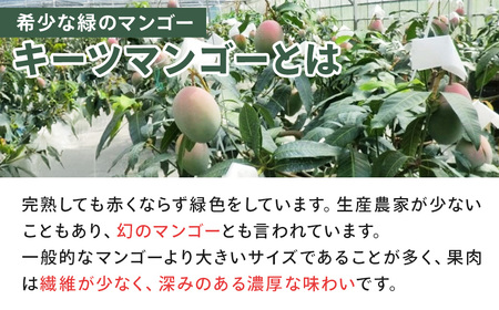 幻の 大きな緑色のマンゴー（キーツ）1個 希少 マンゴー