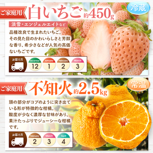【 定期便 2回 】プチっと 堪能 ！家庭用 フルーツ定期便 | フルーツ 果物 くだもの 