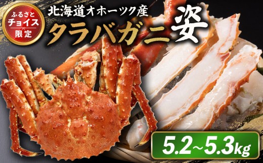 
                  《チョイス限定》北海道オホーツク産 冷タラバガニ姿　5.2～5.3kg | オンライン申請 ふるさと納税 北海道 雄武 北海道産タラバガニ タラバ カニ かに 蟹 冷凍 海産 海産物 ギフト 贈り物 お取り寄せ ワンストップ マイページ 雄武町【1241001】
                