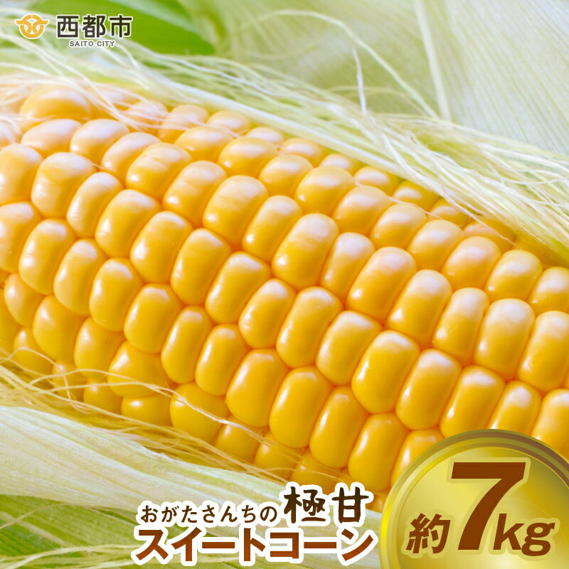 【ふるさと納税】緒方さんちのスイートコーン「イエロー」7kg（15本～20本入）とうもろこし 【先行予約】西都市産 ★