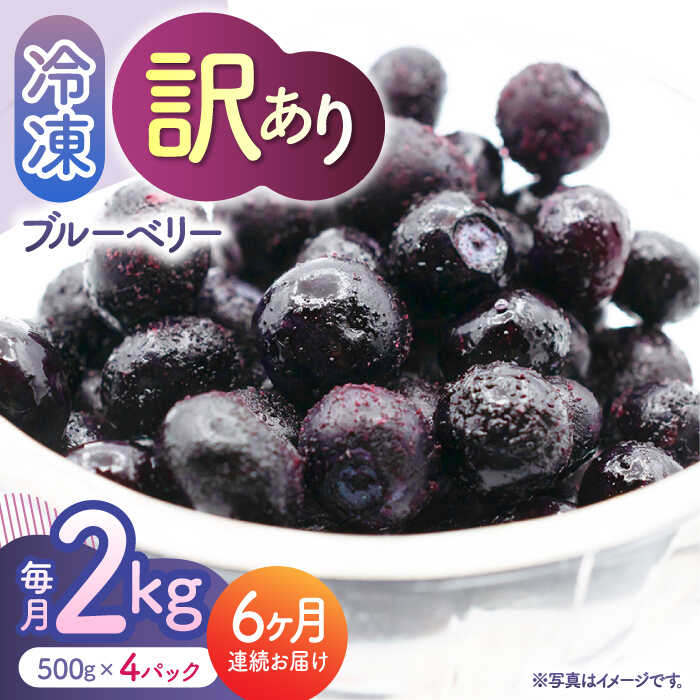 【ふるさと納税】【6回定期便】【訳あり】 冷凍ブルーベリー 小粒 約2kg（約500g×4pc） 【すみれファーム】[ZEP053]