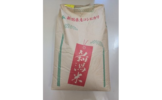 【令和8年産】特別栽培米 氷温熟成コシヒカリ10kg 白米 FC022059