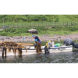 濱屋さん家の天然羅臼昆布4等詰め合わせ(5袋)  ｜ 昆布 北海道 