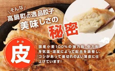 たかなべ ギョーザ 餃子 国産 肉 小分け 惣菜 人気30個