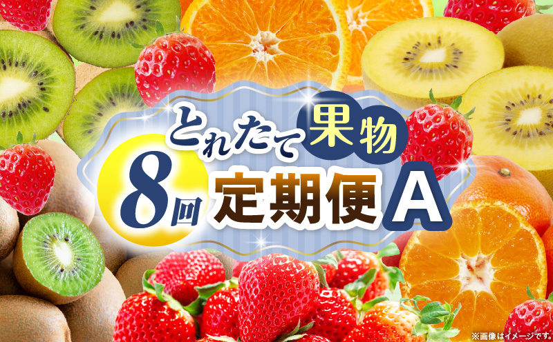 とれたて果物 8回定期便A 果物 フルーツ 果物定期便 フルーツ定期便 定期便 いちご キウイ デコポンみかん 濃厚 旬の果物 定期 人気 おすすめ 贈答 贈り物 青果物 糖度 香川県 _mk165-