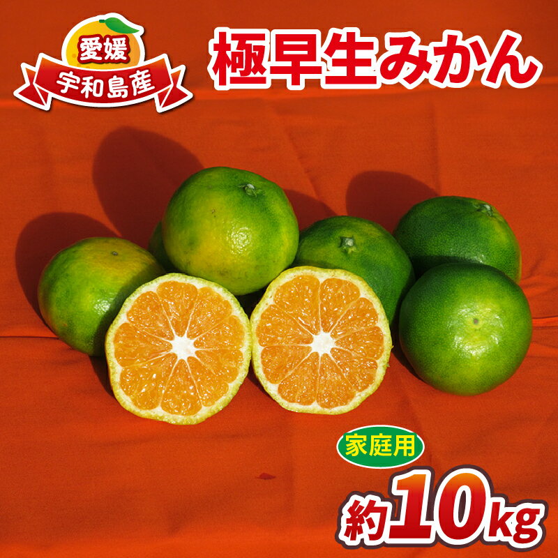 【ふるさと納税】 極早生みかん 蜜柑 家庭用 10kg 先行予約 ワールドファーマーズ 温州みかん 温州 極早生 みかん 緑みかん 愛媛みかん 愛媛ミカン 愛媛県産 みかん10kg 果物 フルーツ 柑橘 mikan 数量限定 産地直送 農家直送 産直 お取り寄せ 国産 愛媛 宇和島 B010-024015