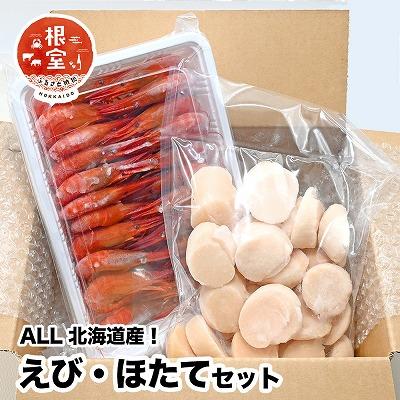 ふるさと納税 根室市 シマエビ400g・ほたて500gセット B-24018 |  | 01