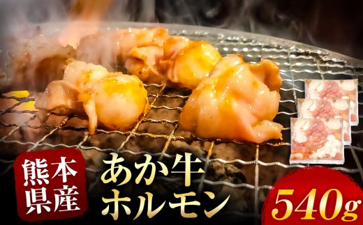あか牛 ホルモン 約 540g  | 熊本県 熊本 くまもと 和水町 なごみ 牛肉 牛 あか牛 赤牛 肉 にく ホルモン 内臓 日本原産 国内肥育 冷凍