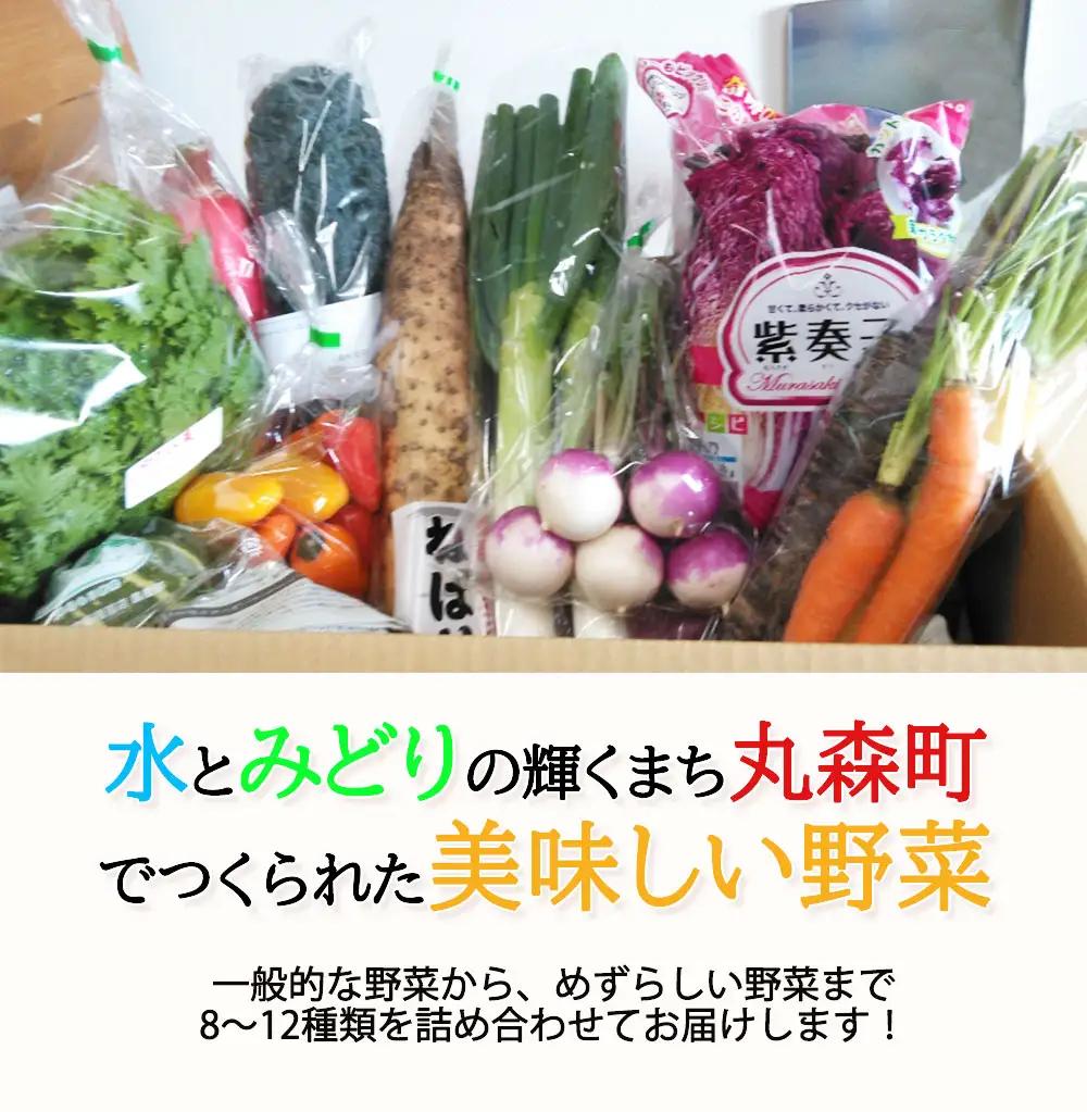 季節のおすすめ野菜おまかせ詰め合わせ12ヵ月定期便 8種～12種類【16105】