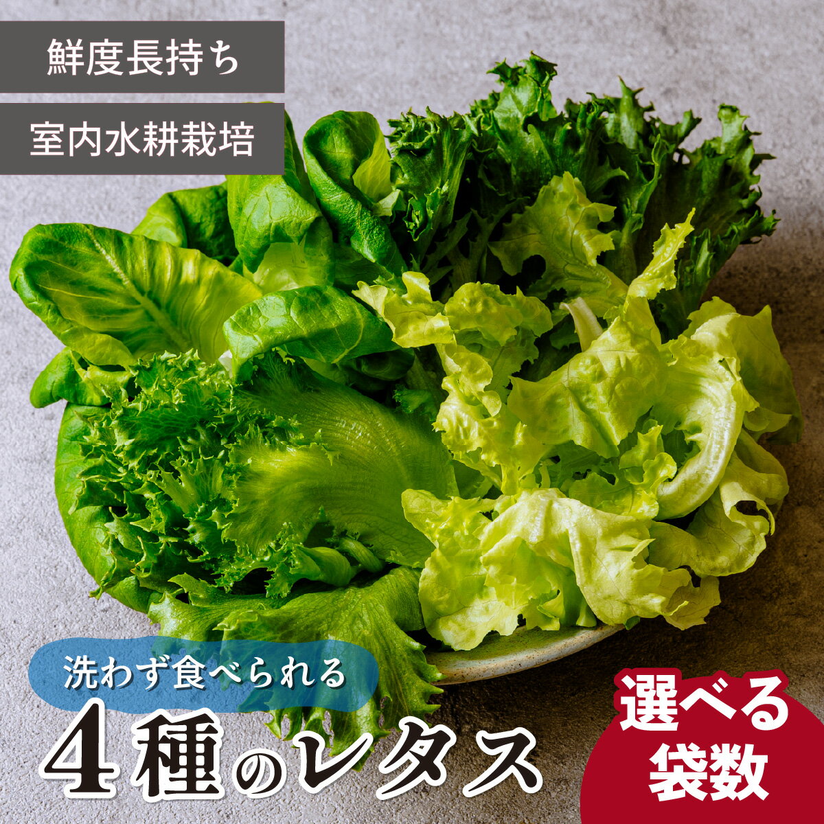 【ふるさと納税】＜洗わず食べられる・室内水耕栽培＞ 4種のレタス 4袋or8袋 | レタス サラダ菜 グリーンオーク グリーンリーフ 減農薬 新鮮 新鮮オーガニック野菜 室内栽培 清潔 野菜直送 フレッシュ サラダ用 健康志向 フレッシュ 産地直送 緑黄色野菜 埼玉県 東松山市