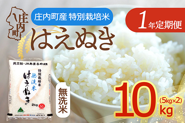 【定期便】＜令和8年産＞はえぬき 無洗米 10kg×1年間 毎月お届け 特別栽培米 山形県庄内町産 庄内米 ブランド米 米 コシヒカリの原点、亀の尾発祥の地 お米の定期便 甘み 粘り バランスの良い 