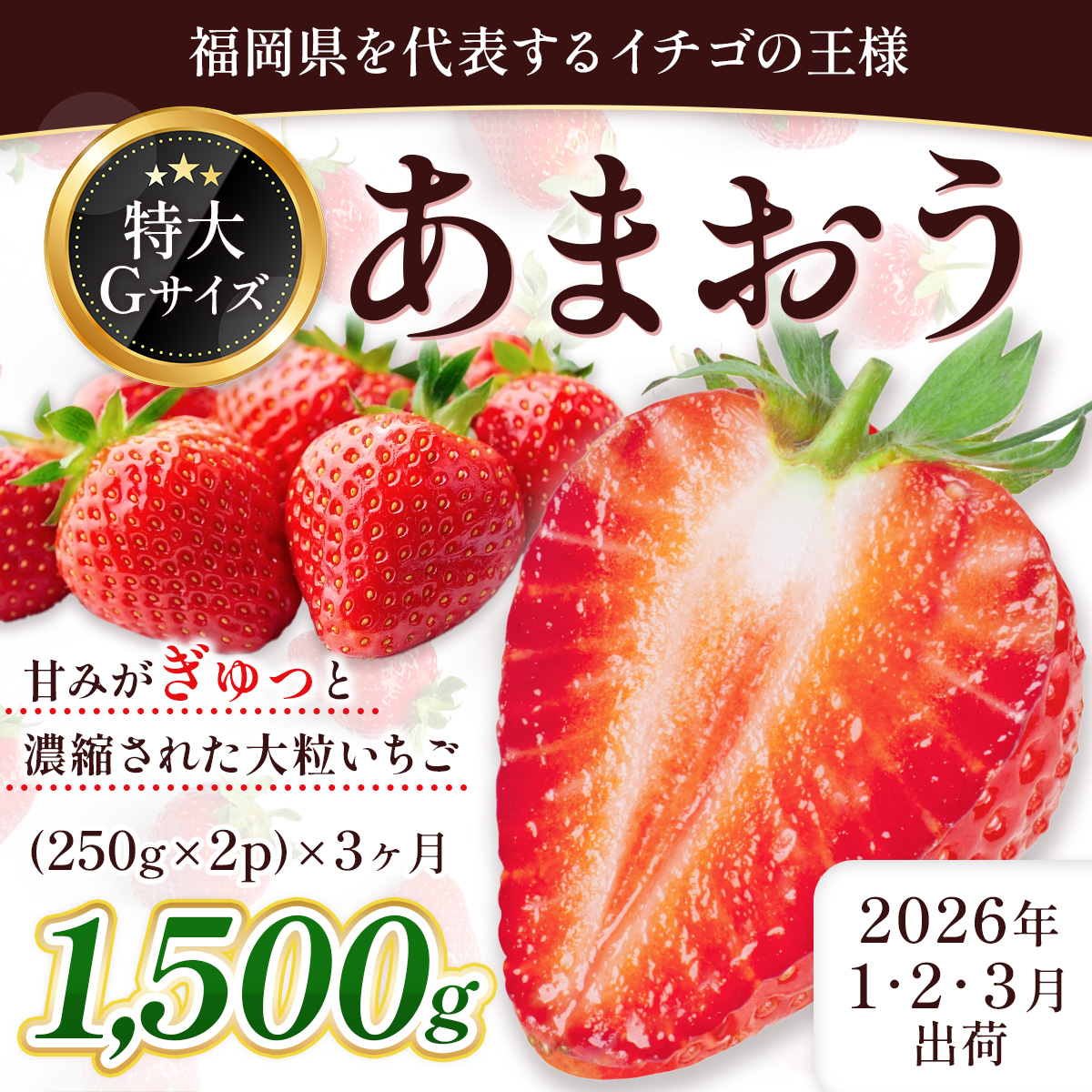 定期便全3回 福岡県産 あまおう 合計1500g 先行予約 2026年1月より順次発送　BA024-3