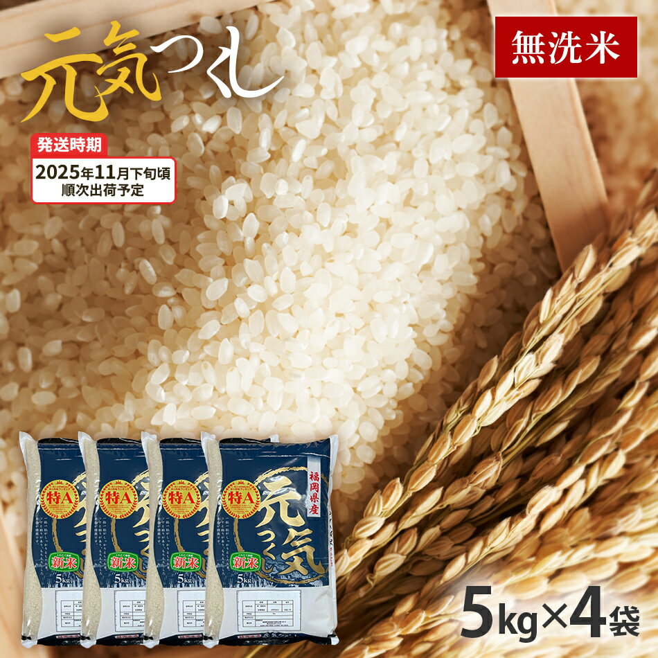 【ふるさと納税】元気つくし 令和7年産　【11月下旬頃より順次出荷予定】福岡県産ブランド米「元気つくし」無洗米20kg お取り寄せグルメ お取り寄せ 福岡 お土産 九州 福岡土産 取り寄せ グルメ 福岡県