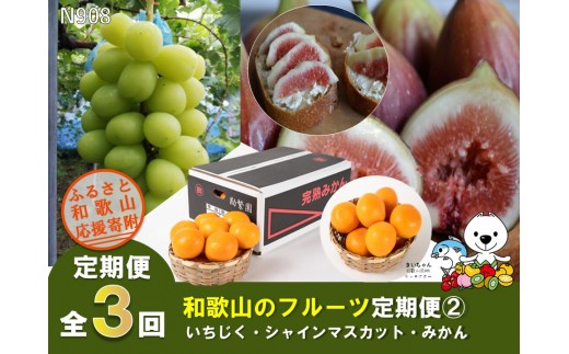 N908 【全3回定期便】フルーツ定期便②（いちじく・シャインマスカット・みかん）