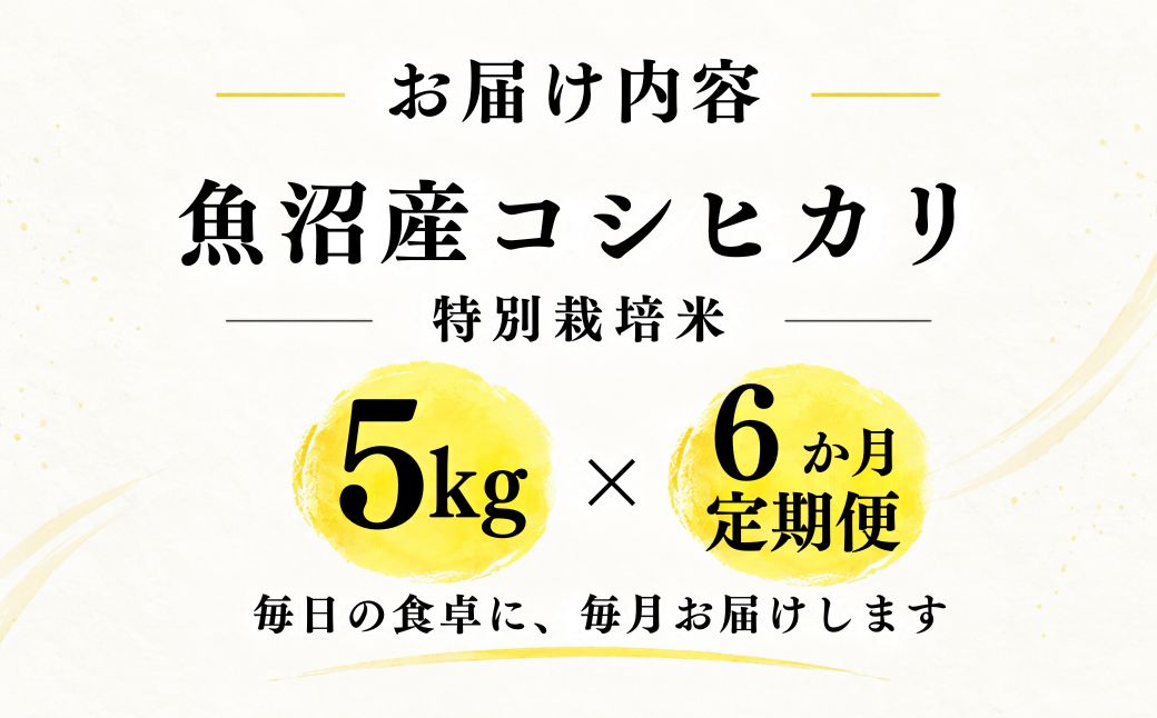 【令和8年産】【6ヶ月定期便】魚沼産コシヒカリ 特別栽培米 5kg(5kg×1袋) | 津南町 米処やえざわ 216610-001-x6