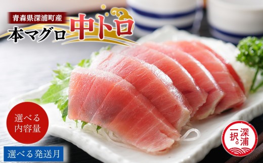 
                  ≪選べる内容量・発送月≫天然本マグロ 中トロ  冷凍柵 深浦マグロ 刺身 海鮮 鮪 まぐろ【fu-0015-015-017】
                