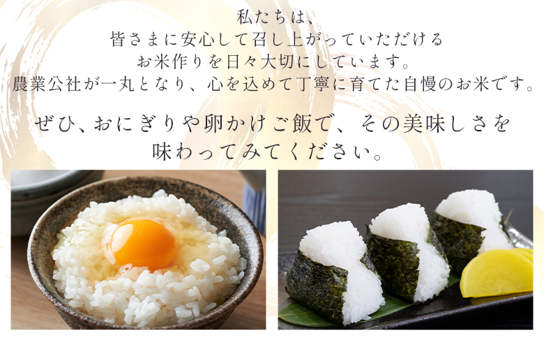 【香南市】コシヒカリ ５kg 無洗米 真空パック 特別栽培米