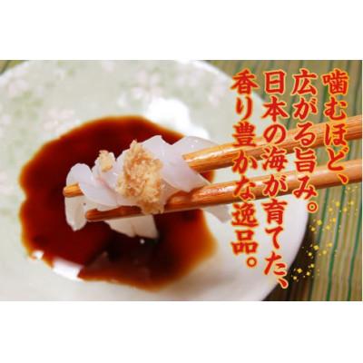 ふるさと納税 香美町 スルメイカ(冷凍)約1kgサイズ不揃い(冷凍) |  | 01