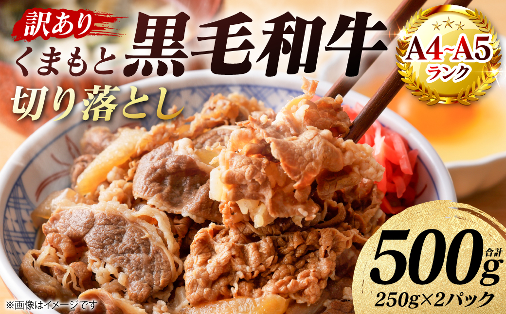 【訳あり】 【A4～A5ランク】 くまもと黒毛和牛 切り落とし 500g （250g×2パック） 和牛 牛肉 お肉 黒毛和牛 牛肩 バラ 冷凍 炒め物 すき焼き しゃぶしゃぶ おかず 熊本県 八代市