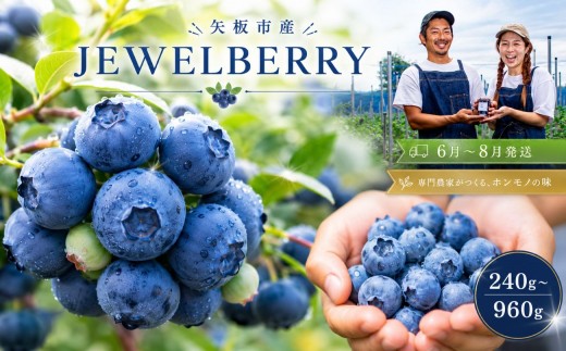 
                  矢板市産 完熟 ブルーベリー　[JEWELBERRY] 選べる 2P～8P 【2026年6月～8月発送】 栃木県 矢板市
                