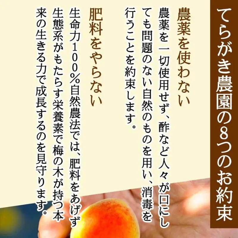 農薬を使用していない南高梅　trgk003B【trgk003B】