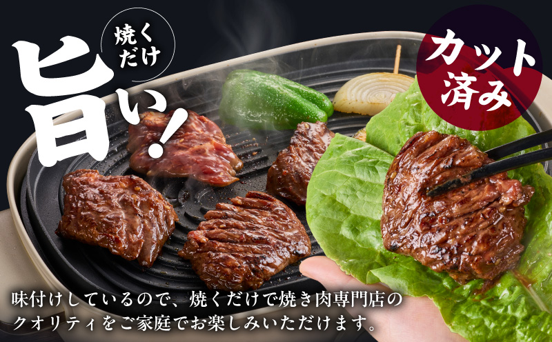 ガツめし牛ハラミ 1.2kg 追いダレ漬け【焼肉 600g×2P はらみ ハラミ 牛肉 訳あり サイズ不揃い】 G4018