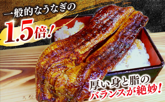 【3回定期便】うなぎ老舗専門店のパリっとふっくら 紅白うなぎ 蒲焼・素焼半身　(真空パック/秘伝のタレ・藻塩付き) 島根県松江市/株式会社山美世商会 [ALDC016]