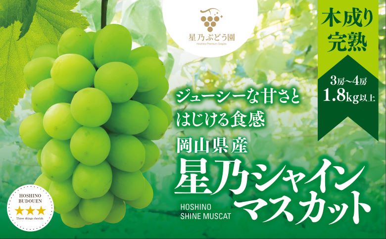 【2026年発送】星乃シャインマスカット(岡山県産) 3〜4房(1.8kg以上)【配送不可地域：離島・北海道・沖縄県】【1418932】
