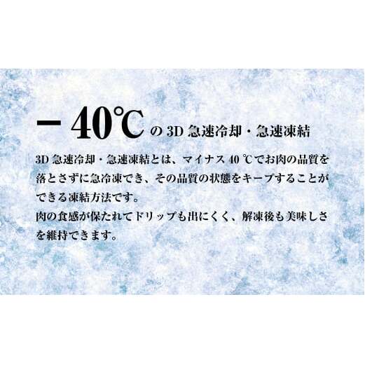 淡路牛 赤身焼肉セット 1kg（500g×2P) 【3D急速冷凍】 　　[赤身 焼肉 赤身肉 焼肉セット 牛肉 焼肉]_イメージ3