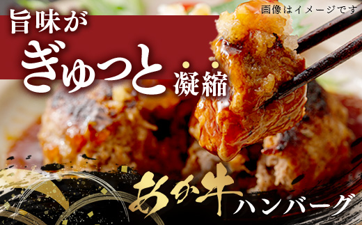 【GI認証】くまもと あか牛 ハンバーグ《ご家庭用》150g×10個 あか牛100％ 赤身 冷凍 熊本県産 あかうし はんばーぐ 惣菜 おかず 和牛 牛肉 オオツカ 073-0409