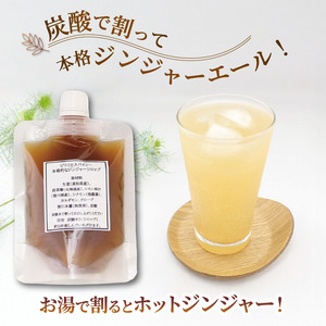 シロップ ジンジャー 生姜 シロップ 150g×1個