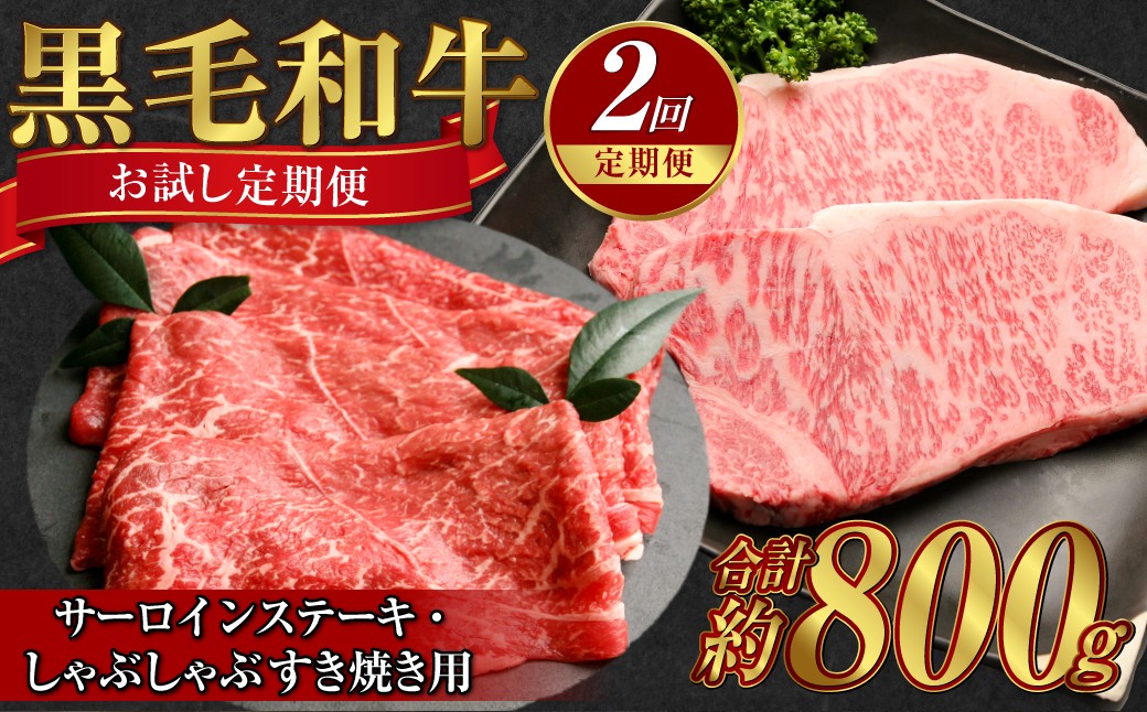 
            【定期便2か月】岡山 黒毛和牛 美星牛 A4等級以上 牛脂付き お試し定期便 合計約800g 生産者直送便 美星町 美星牧場 定期便【黒毛和牛 肉 牛 岡山県 倉敷市 おすすめ 人気】
          