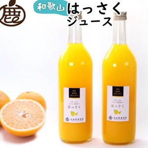 無添加はっさくジュース720ml×2本【100%ストレートジュース】【柑橘・果汁】【配送不可地域：離島・北海道・沖縄県】【1641240】