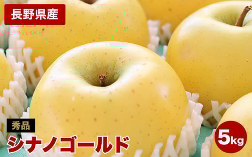 ジューシーな黄金色りんご(シナノゴールド)約5kg 秀品〈2025年10月下旬～11月下旬発送〉| 果物 くだもの フルーツ りんご 黄金食りんご シナノゴールド 長野県 信州 南信州 飯田市
