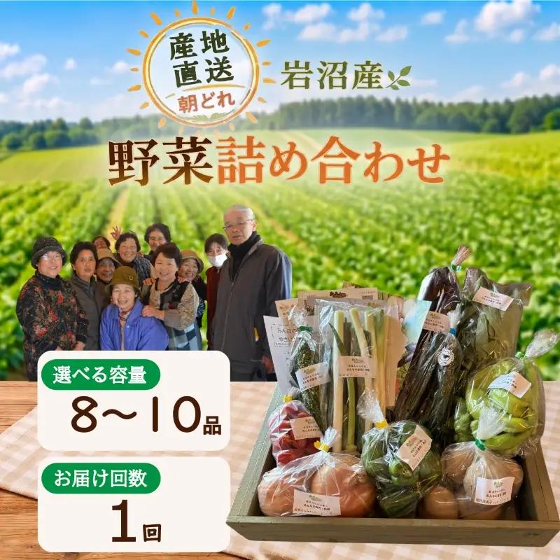 産地直送 朝どれ 新鮮野菜 8～10種類 詰め合わせ セット 野菜