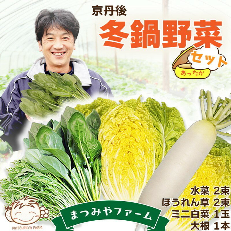 【ふるさと納税】【先行予約】京丹後冬鍋野菜セット（2025年11月中旬～発送） 鍋セット 1〜2人前 野菜 やさい 京野菜 鍋 せっと 生産者応援 農家応援 送料無料