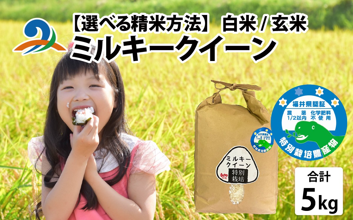 
                  【 令和7年産】【選べる精米方法】 ミルキークイーン 5kg×1袋（計5kg）精米 白米 玄米 農家直送　特別栽培米認証3 選べる 米 こしひかり 福井 南越前町 うすい農園  無農薬 有機肥料
                