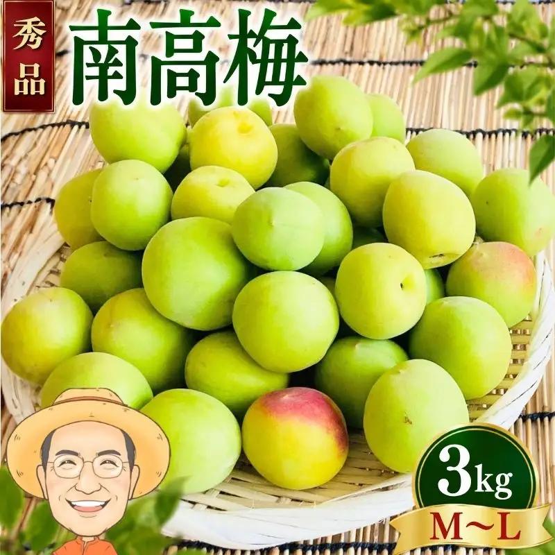【秀品】南高梅 青梅 約3kg (＋保証100g) M～L カキエモン農園 【BX-kkem036】