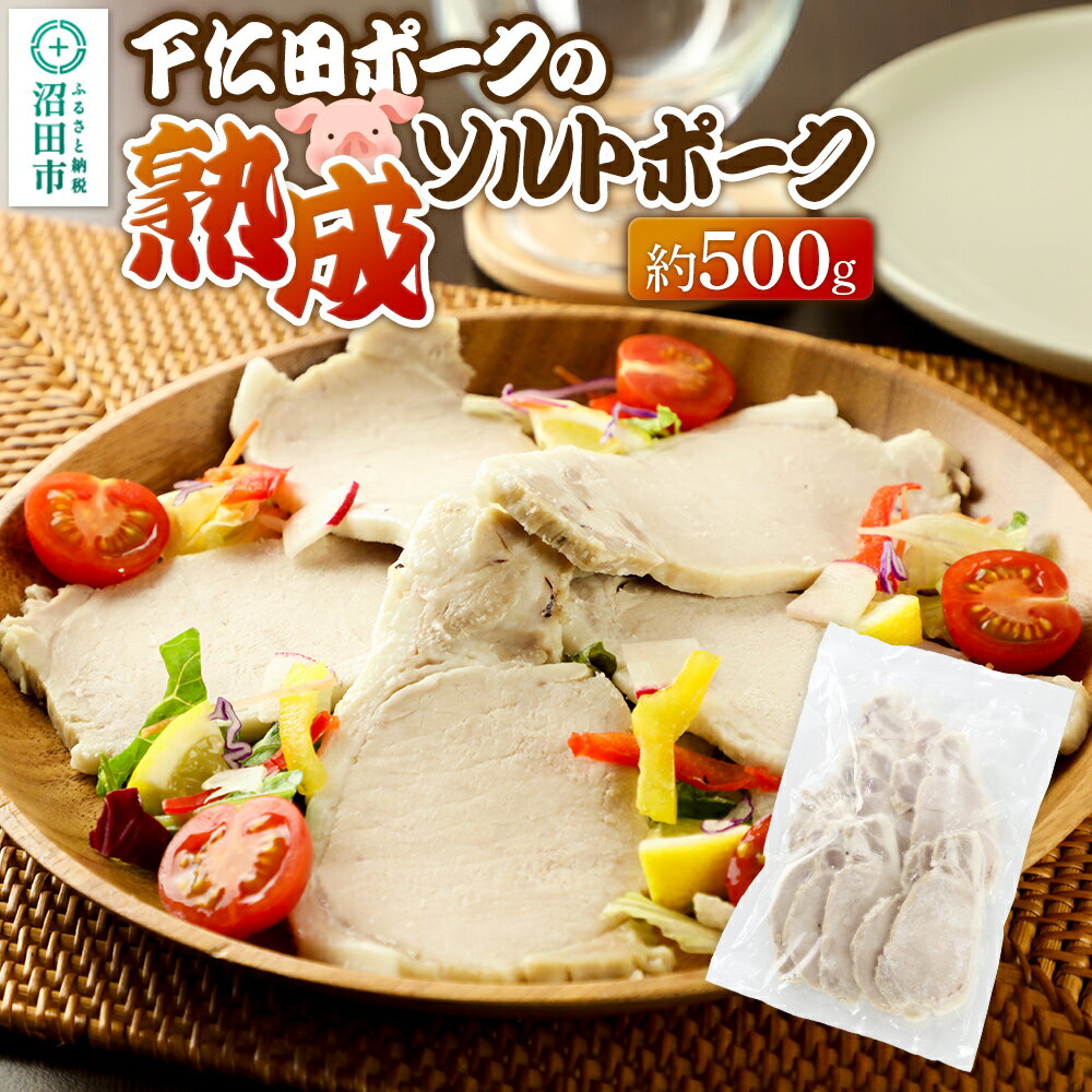 【ふるさと納税】CAS印 下仁田ポークの熟成ソルトポーク 約500g 株式会社沼田魚菜市場仲卸