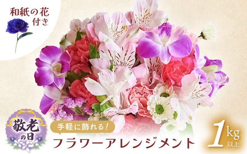 【先行予約】敬老の日限定 そのまま飾れる フラワーアレンジメント 生花【9月12日～15日発送】感謝を大切な人に メッセージカード付・越前和紙 小花一輪付【ギフト 手軽 花 華 おしゃれ プレゼント 敬老の日 シルバー 花瓶いらず 水替え無 】 [e51-a011]